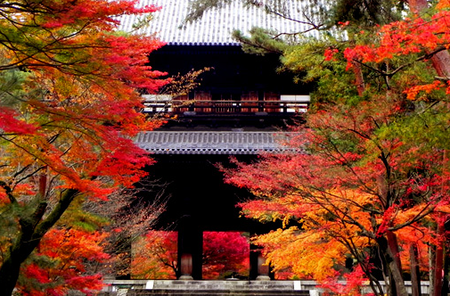 京都の紅葉は着物でデート！おすすめのコースやプランは？
