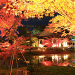京都の紅葉は大覚寺も混雑？アクセスはバスより車がおすすめ？